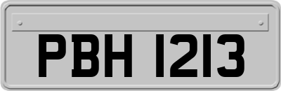 PBH1213