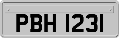 PBH1231