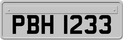 PBH1233