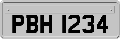 PBH1234