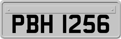 PBH1256