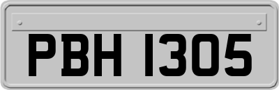 PBH1305