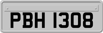 PBH1308