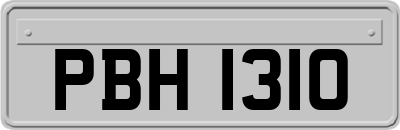 PBH1310