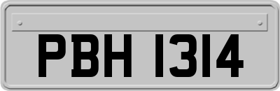 PBH1314