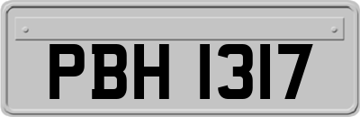 PBH1317