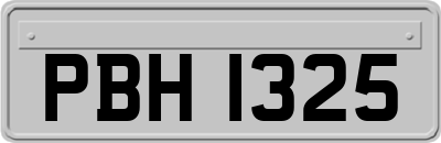 PBH1325