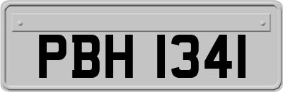 PBH1341