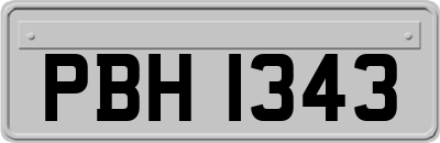 PBH1343