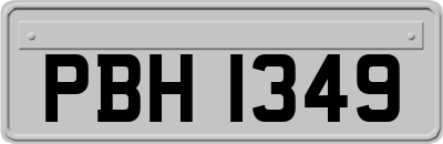 PBH1349