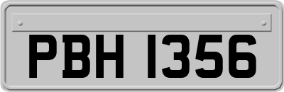 PBH1356