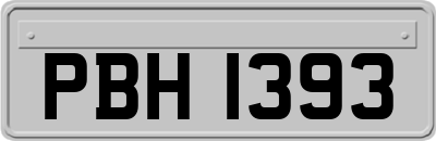 PBH1393