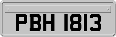 PBH1813