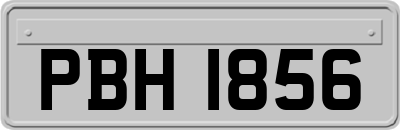 PBH1856