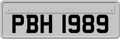 PBH1989