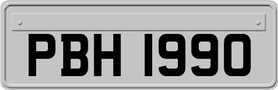 PBH1990