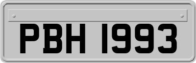 PBH1993