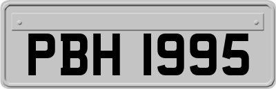 PBH1995