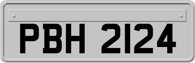 PBH2124