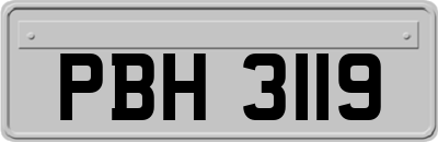 PBH3119