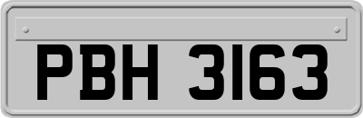 PBH3163