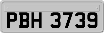 PBH3739