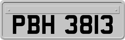 PBH3813