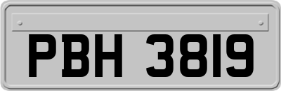 PBH3819