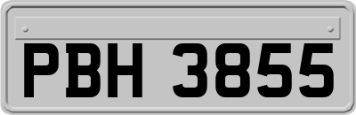 PBH3855