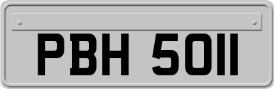 PBH5011