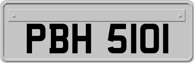 PBH5101