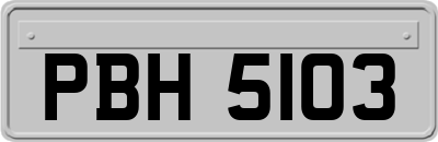 PBH5103