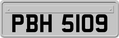 PBH5109