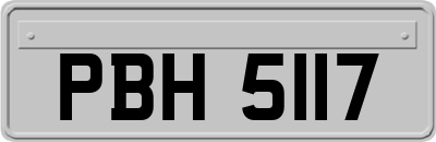 PBH5117