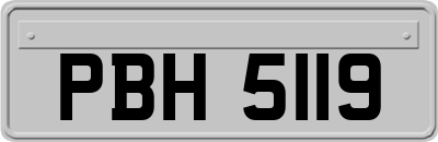 PBH5119