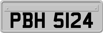 PBH5124