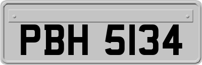 PBH5134