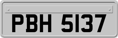 PBH5137