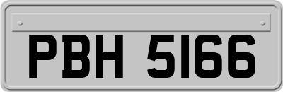 PBH5166