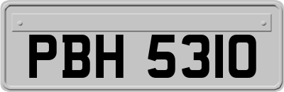 PBH5310