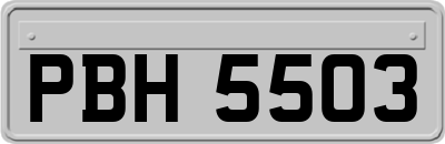 PBH5503