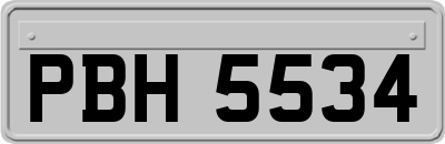 PBH5534