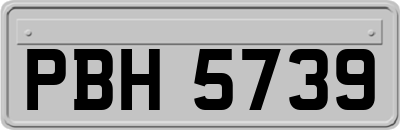 PBH5739