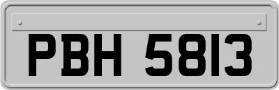 PBH5813