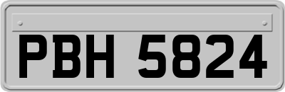 PBH5824