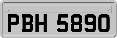 PBH5890