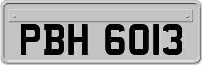 PBH6013