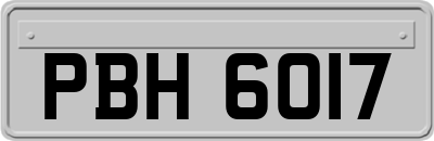 PBH6017