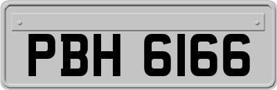 PBH6166