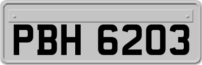 PBH6203